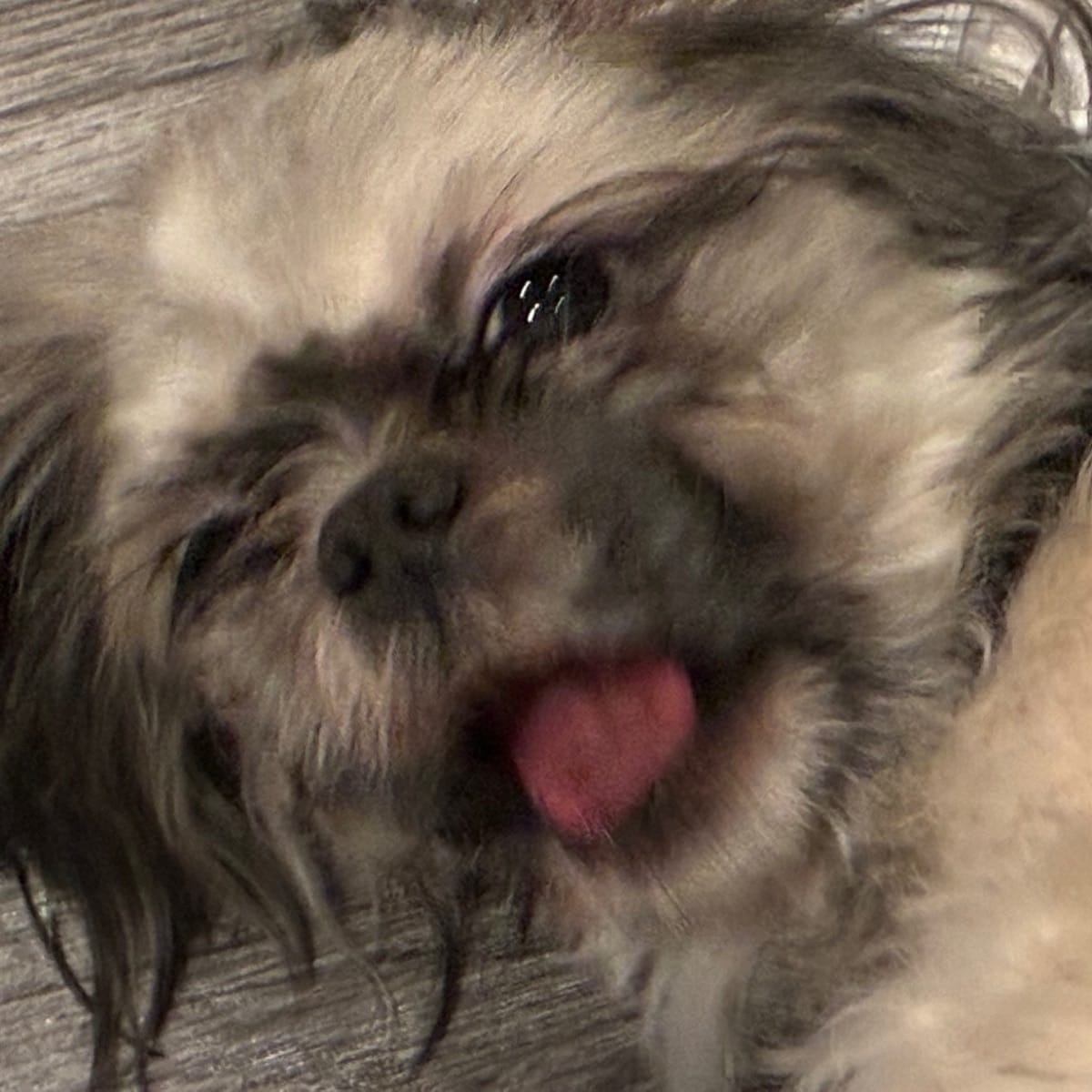 Featured on free hard trap soul beat jid x hur x the weekend x drake x saz your love is crazy  Mix playlist