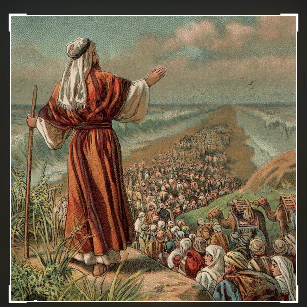 The real sheep shall know his voice this angel Larry Eligha Moses is celebant until marriage the elites like digital mining and fossil fuels