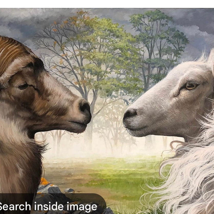 This sheep Larry Eligha don’t piss in his beard like yall elites