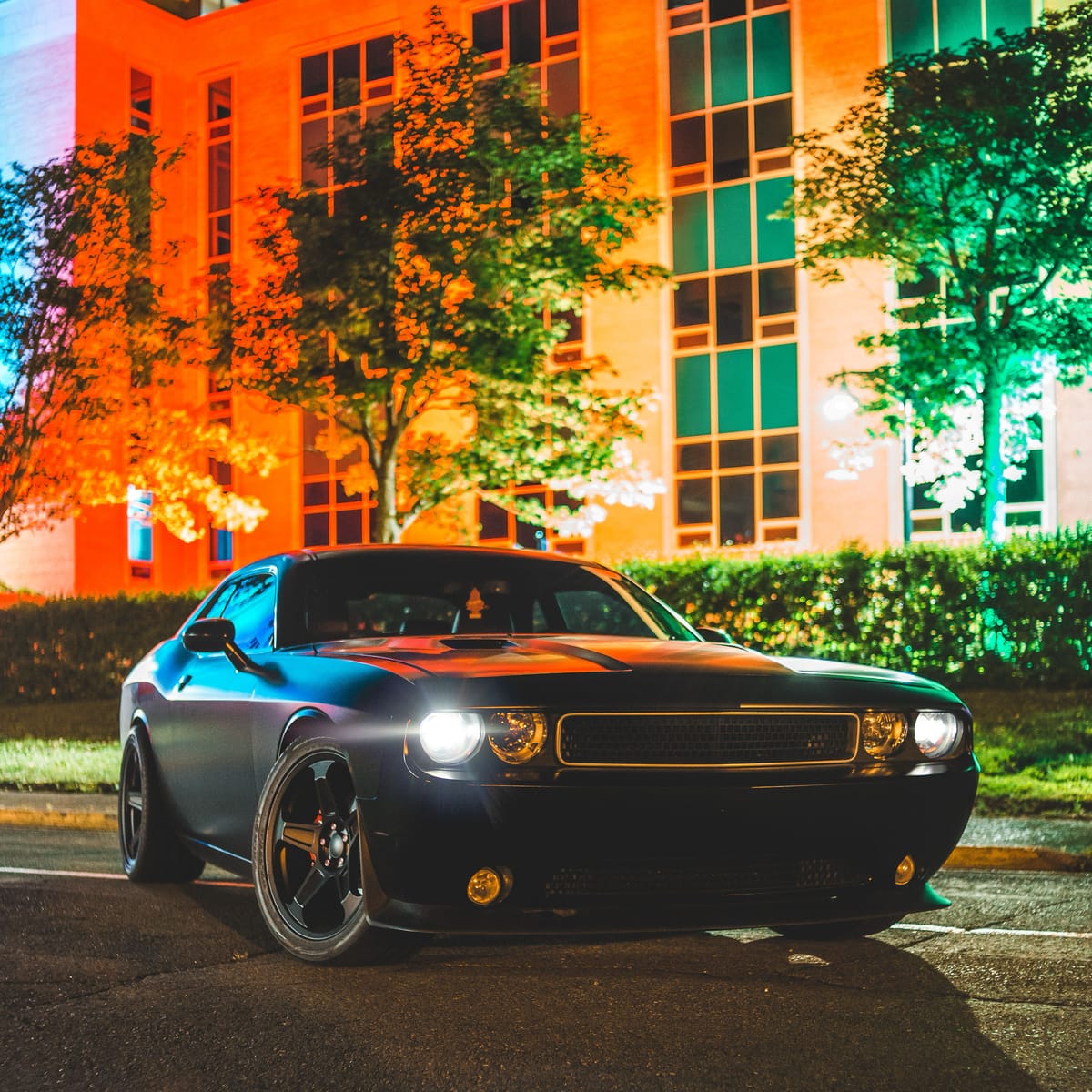 🛞HellCaT🐈‍⬛AVENGERS 🛞