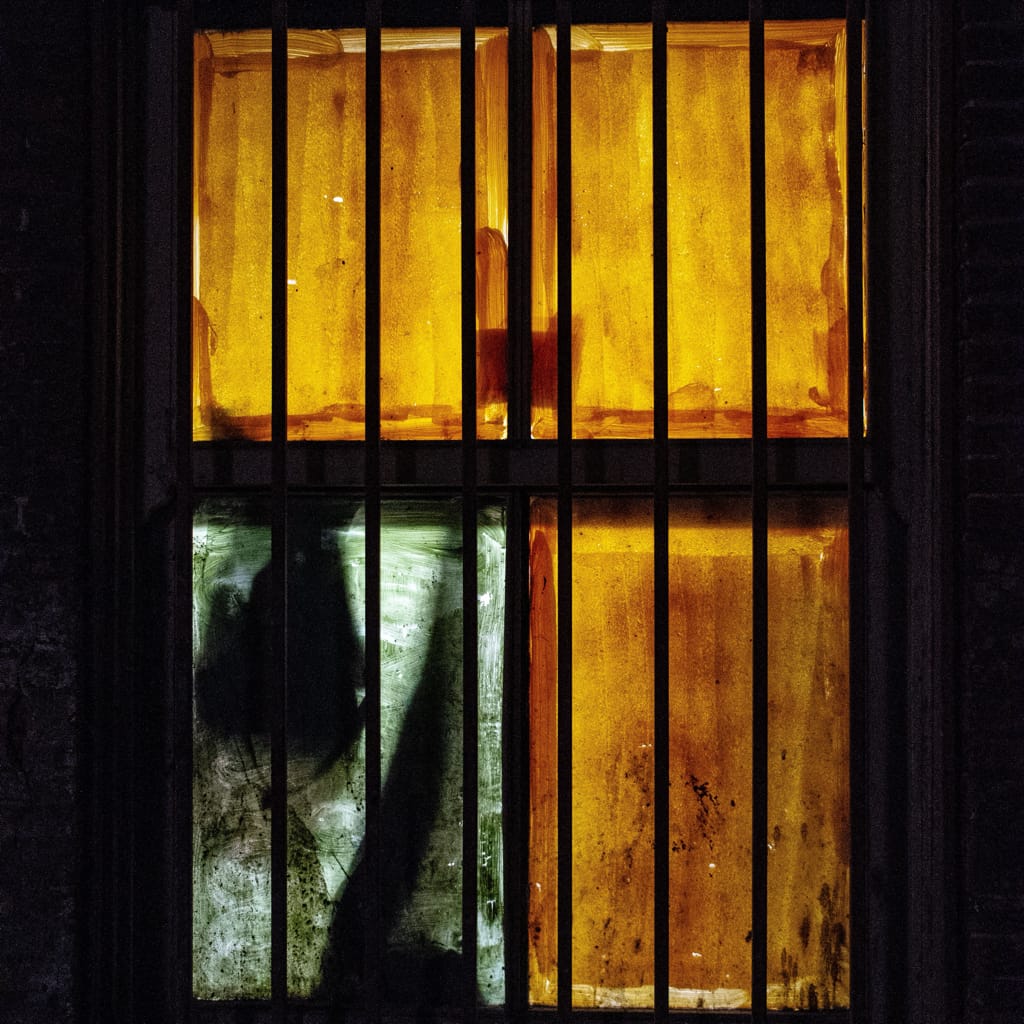 WiNDOW LiTE OpenCollab