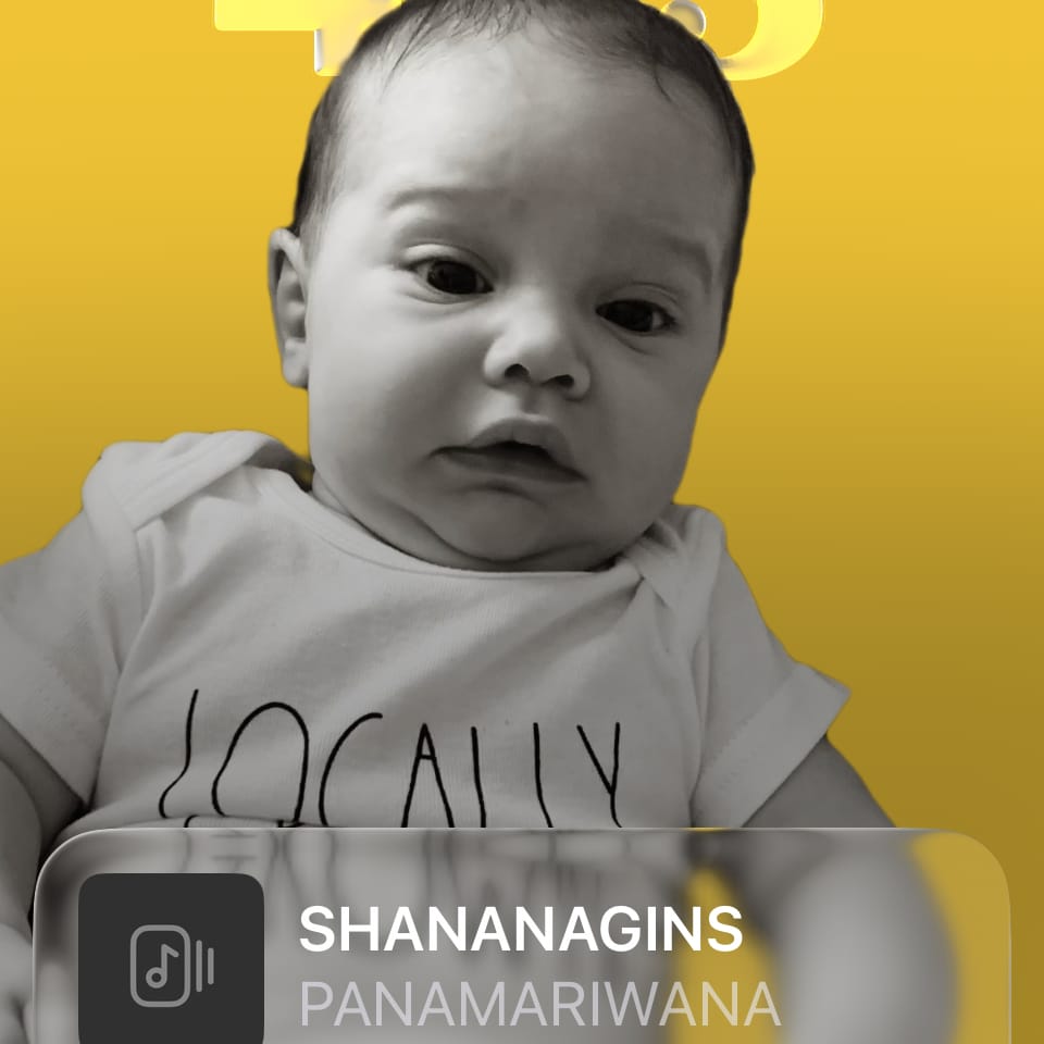SHANANAGINS